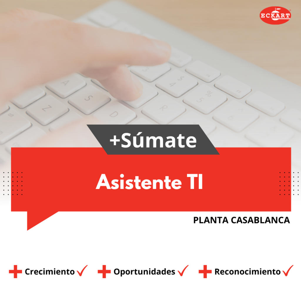asistente TI